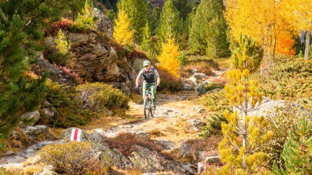 Mountain biker on a trail above Davos Klosters